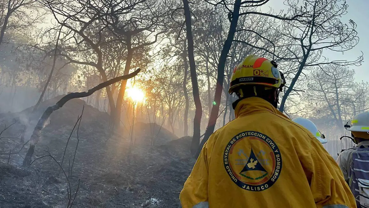 Protección Civil y Bomberos